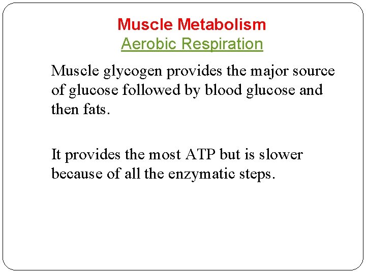 Muscle Metabolism Aerobic Respiration Muscle glycogen provides the major source of glucose followed by