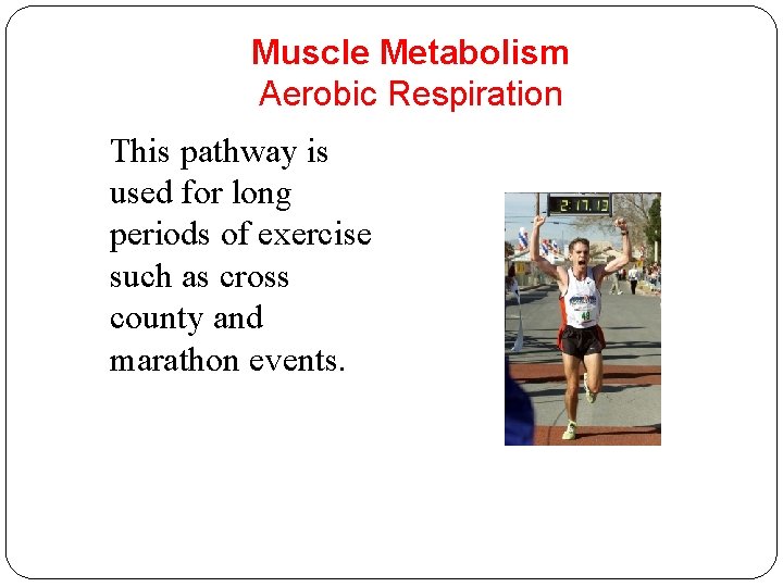 Muscle Metabolism Aerobic Respiration This pathway is used for long periods of exercise such