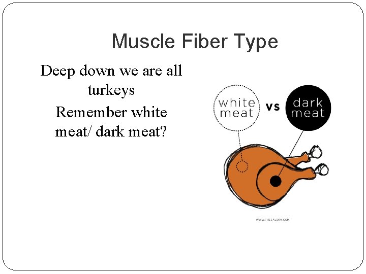 Muscle Fiber Type Deep down we are all turkeys Remember white meat/ dark meat?