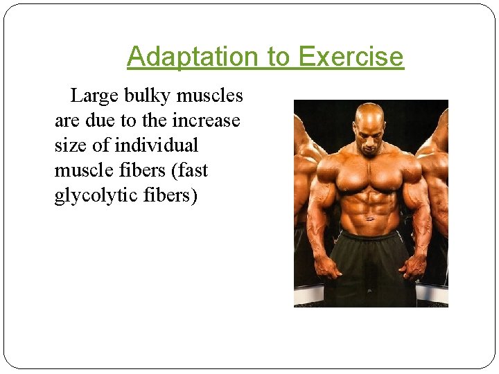 Adaptation to Exercise Large bulky muscles are due to the increase size of individual