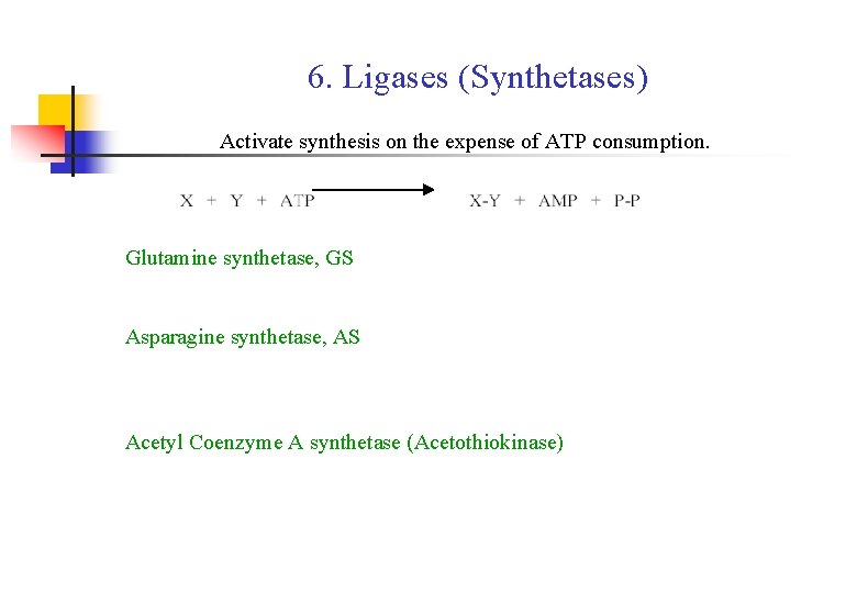 6. Ligases (Synthetases) Activate synthesis on the expense of ATP consumption. Glutamine synthetase, GS