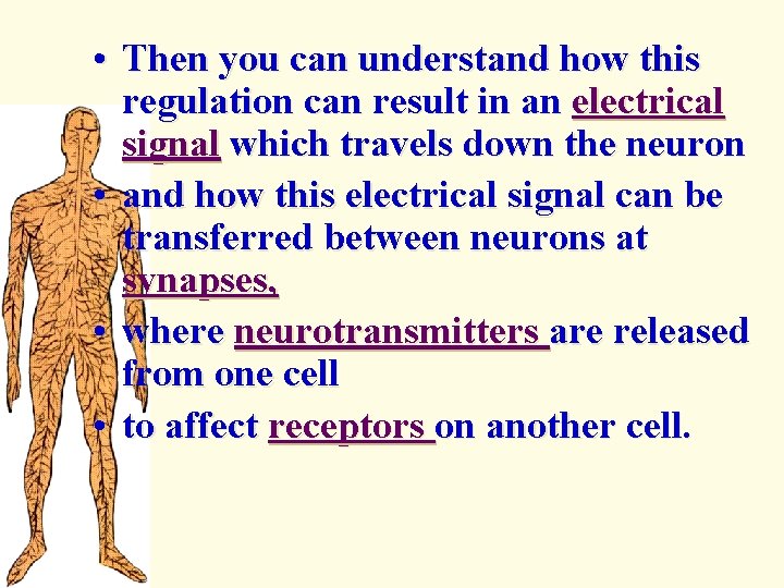  • Then you can understand how this regulation can result in an electrical