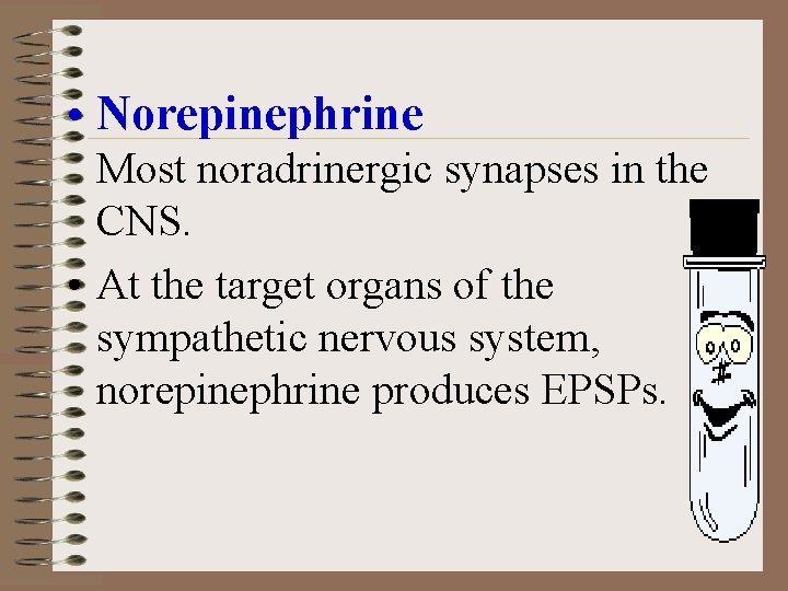  • Norepinephrine Most noradrinergic synapses in the CNS. • At the target organs