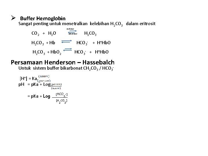 Ø Buffer Hemoglobin Sangat penting untuk menetralkan kelebihan H 2 CO 3 dalam eritrosit