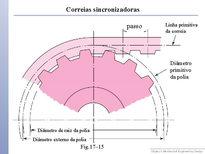 Correias sincronizadoras passo Linha primitiva da correia Diâmetro primitivo da polia Diâmetro de raiz