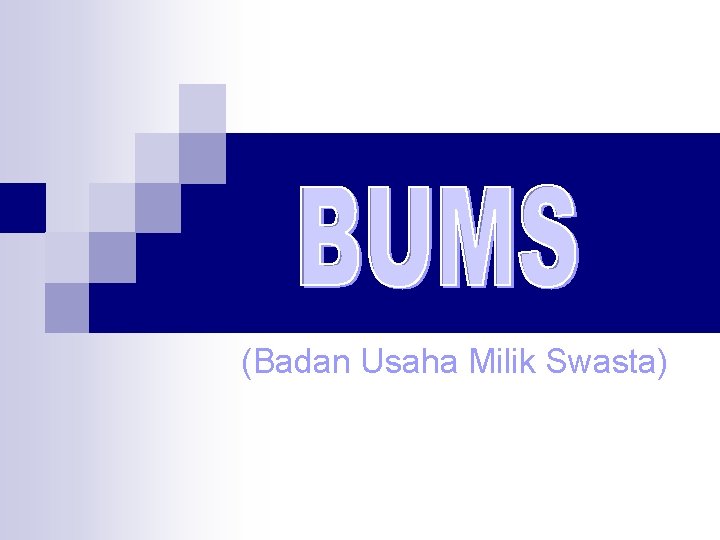 (Badan Usaha Milik Swasta) 