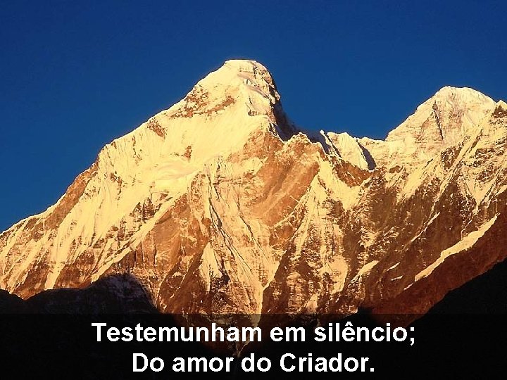 Testemunham em silêncio; Do amor do Criador. 