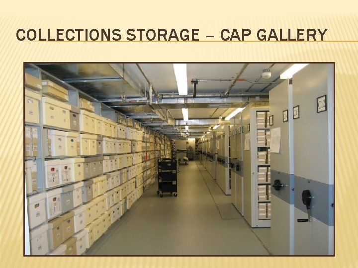 COLLECTIONS STORAGE – CAP GALLERY 