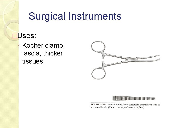 Surgical Instruments �Uses: ◦ Kocher clamp: fascia, thicker tissues 