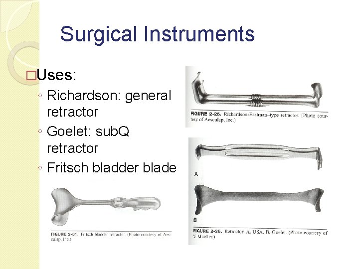 Surgical Instruments �Uses: ◦ Richardson: general retractor ◦ Goelet: sub. Q retractor ◦ Fritsch