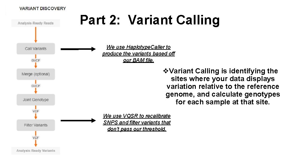 Part 2: Variant Calling We use Haplotype. Caller to produce the variants based off