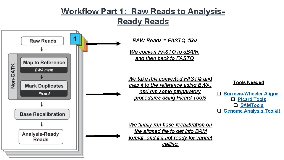 Workflow Part 1: Raw Reads to Analysis. Ready Reads RAW Reads = FASTQ files