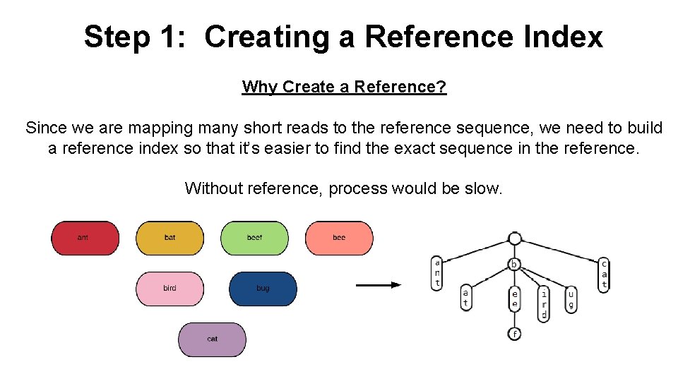 Step 1: Creating a Reference Index Why Create a Reference? Since we are mapping