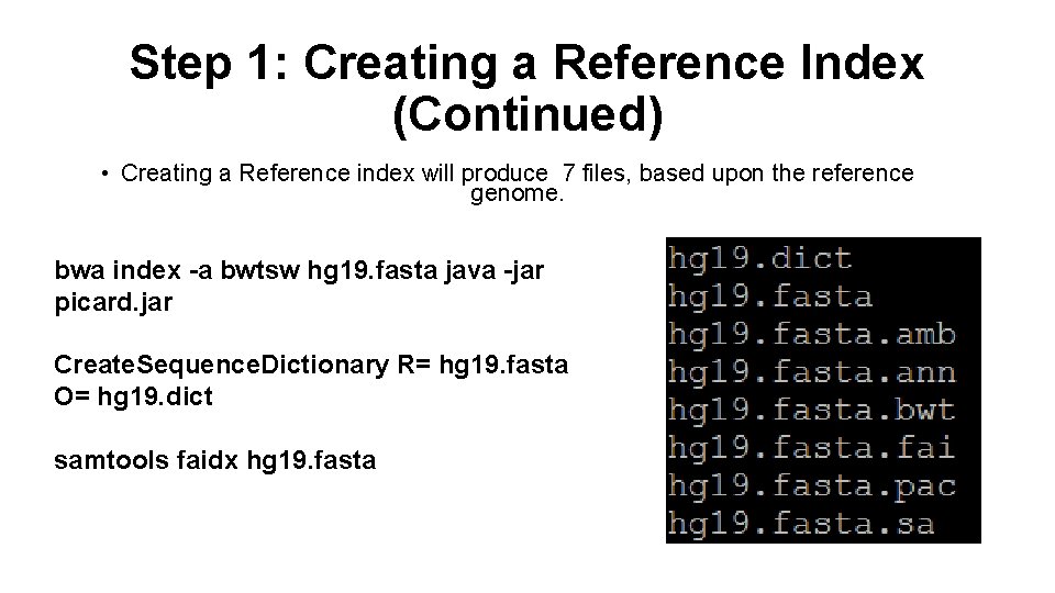 Step 1: Creating a Reference Index (Continued) • Creating a Reference index will produce