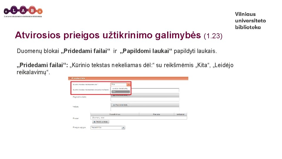 Atvirosios prieigos užtikrinimo galimybės (1. 23) Duomenų blokai „Pridedami failai“ ir „Papildomi laukai“ papildyti