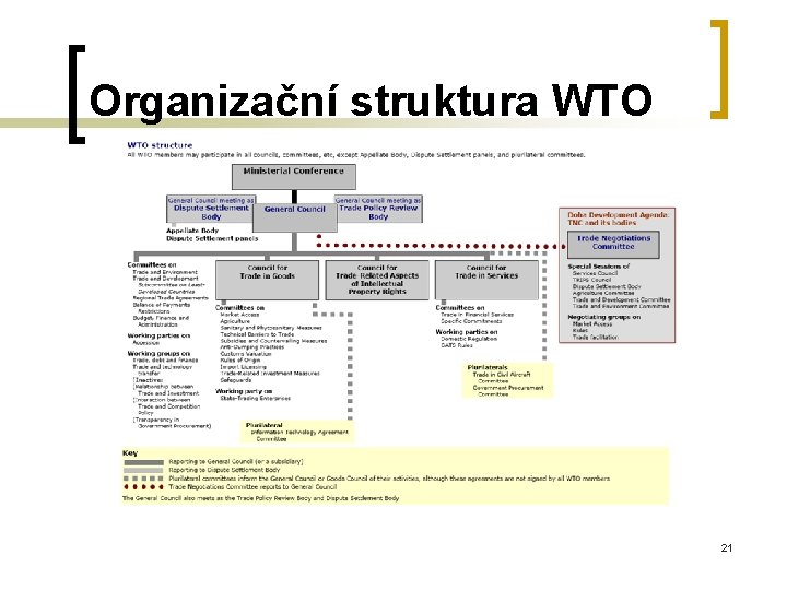 Organizační struktura WTO 21 