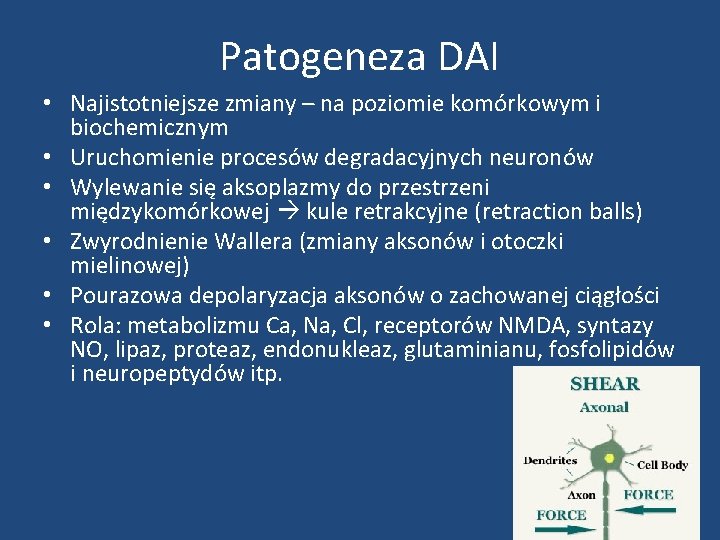 Patogeneza DAI • Najistotniejsze zmiany – na poziomie komórkowym i biochemicznym • Uruchomienie procesów