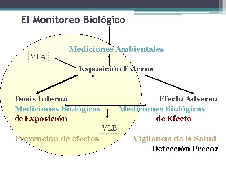 El Monitoreo Biológico VLA Mediciones Ambientales Exposición Externa Dosis Interna Efecto Adverso Mediciones Biológicas