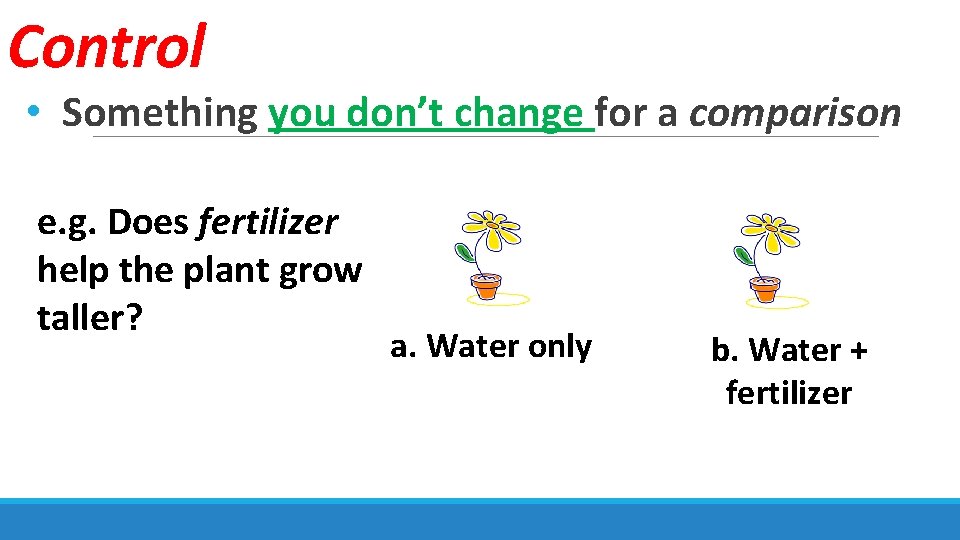 Control • Something you don’t change for a comparison e. g. Does fertilizer help