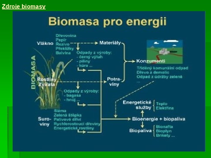 Zdroje biomasy 