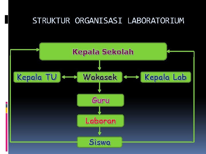 STRUKTUR ORGANISASI LABORATORIUM Kepala Sekolah Kepala TU Wakasek Guru Laboran Siswa Kepala Lab 