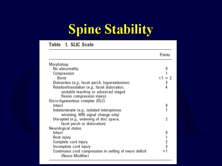 Spine Stability 