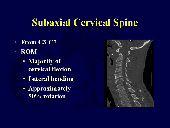 Subaxial Cervical Spine • From C 3 -C 7 • ROM • Majority of