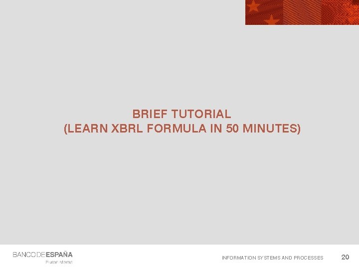 BRIEF TUTORIAL (LEARN XBRL FORMULA IN 50 MINUTES) INFORMATION SYSTEMS AND PROCESSES 20 