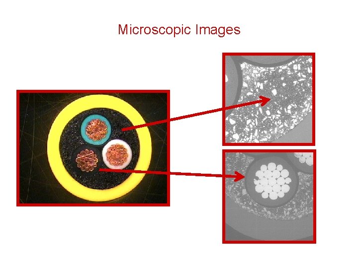 Microscopic Images 