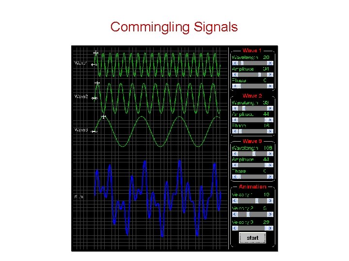 Commingling Signals 