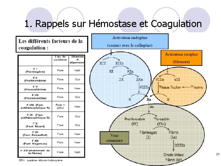 1. Rappels sur Hémostase et Coagulation 21 