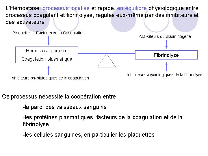 L’Hémostase: processus localisé et rapide, en équilibre physiologique entre processus coagulant et fibrinolyse, régulés