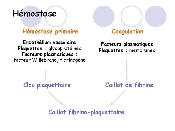 Hémostase primaire Coagulation Endothélium vasculaire Plaquettes : glycoprotéines Facteurs plasmatiques : facteur Willebrand, fibrinogène