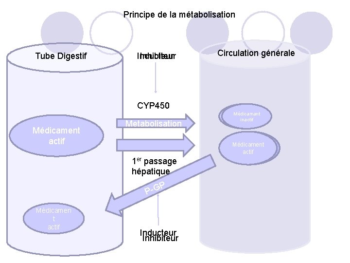 Principe de la métabolisation Tube Digestif Inducteur Inhibiteur CYP 450 Médicament inactif « Prodrogue