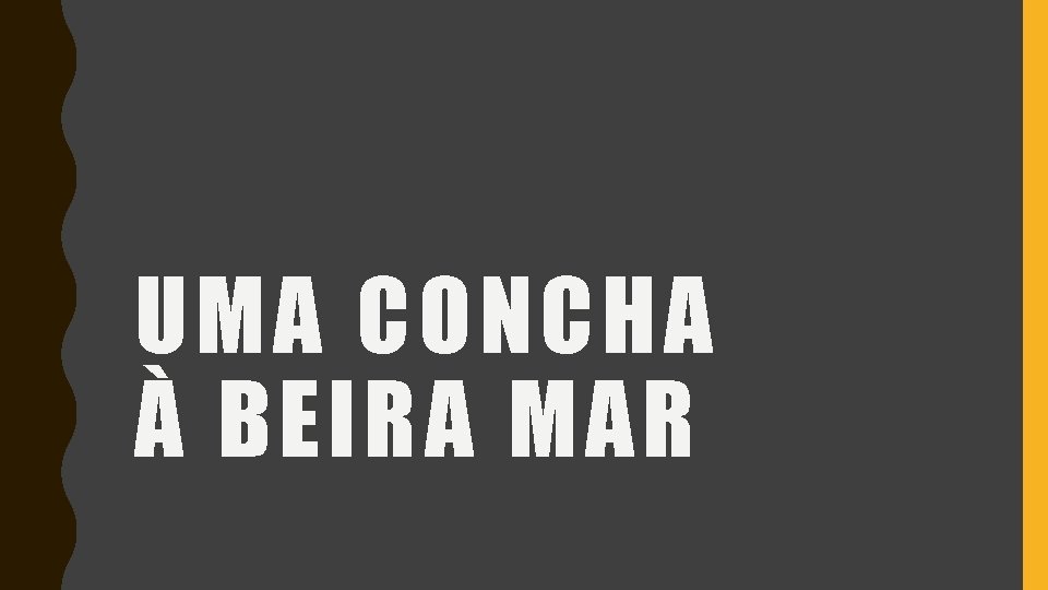 UMA CONCHA À BEIRA MAR 