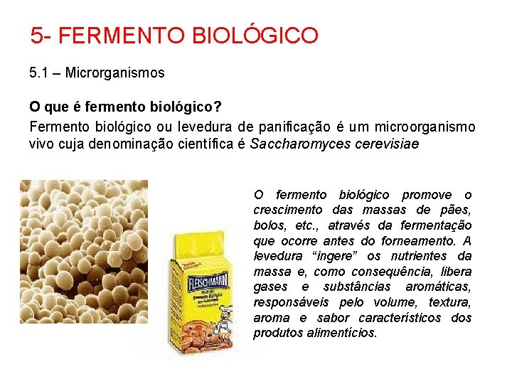 5 - FERMENTO BIOLÓGICO 5. 1 – Microrganismos O que é fermento biológico? Fermento
