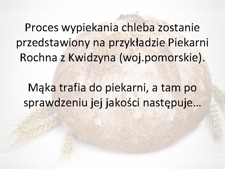 Proces wypiekania chleba zostanie przedstawiony na przykładzie Piekarni Rochna z Kwidzyna (woj. pomorskie). Mąka