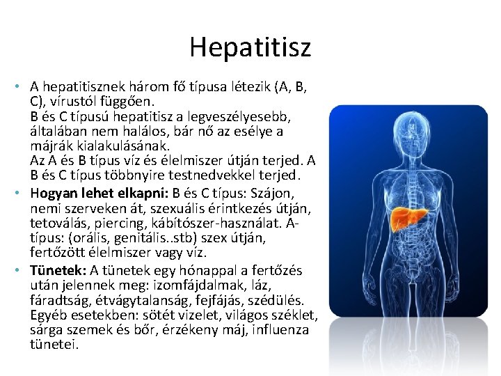 Hepatitisz • A hepatitisznek három fő típusa létezik (A, B, C), vírustól függően. B