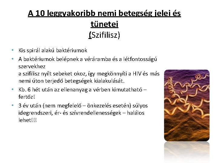 A 10 leggyakoribb nemi betegség jelei és tünetei (Szifilisz) • Kis spirál alakú baktériumok