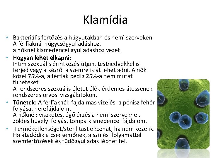 Klamídia • Bakteriális fertőzés a húgyutakban és nemi szerveken. A férfiaknál húgycsőgyulladáshoz, a nőknél