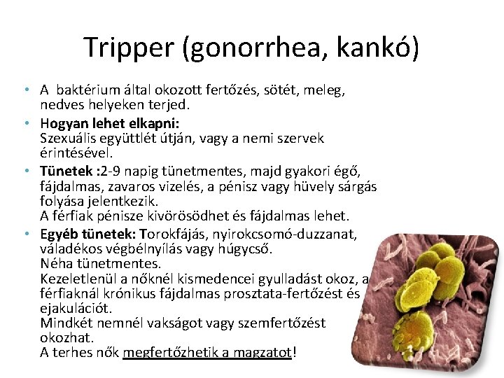 Tripper (gonorrhea, kankó) • A baktérium által okozott fertőzés, sötét, meleg, nedves helyeken terjed.