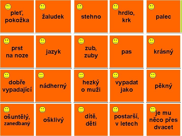 pleť, skin pokožka stomach žaludek stehno thigh hrdlo, throat krk prst toe na noze