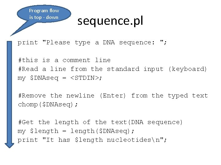 Program flow is top - down sequence. pl print "Please type a DNA sequence: