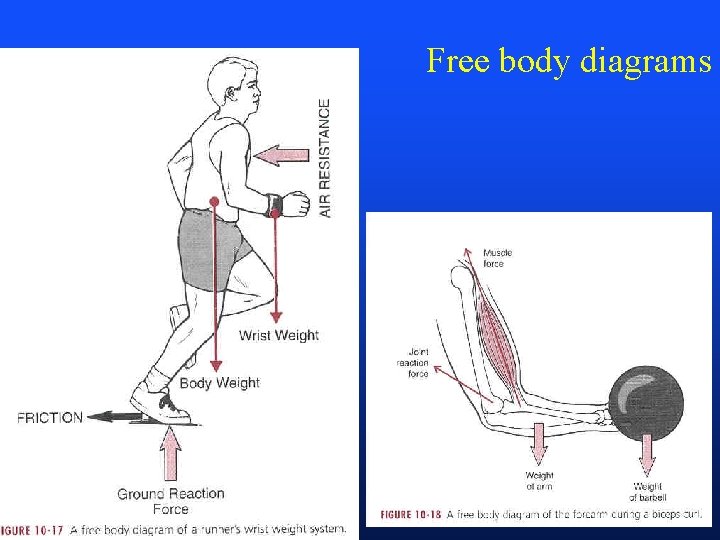Free body diagrams 