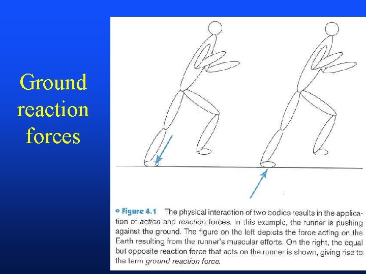Ground reaction forces 