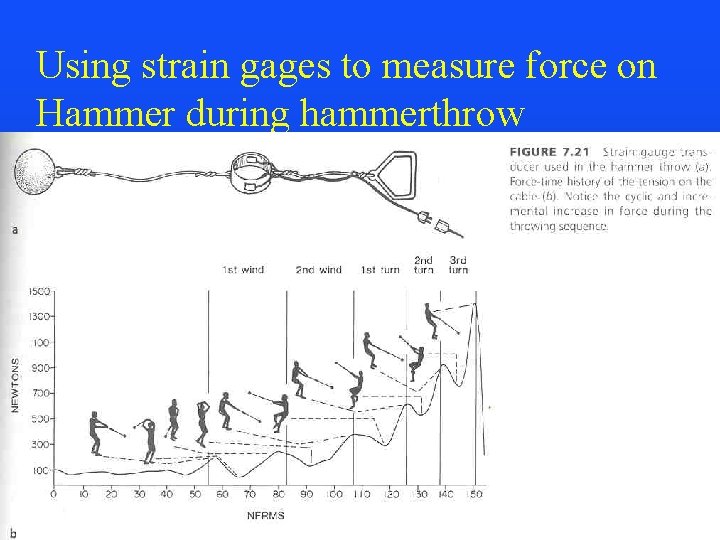 Using strain gages to measure force on Hammer during hammerthrow 