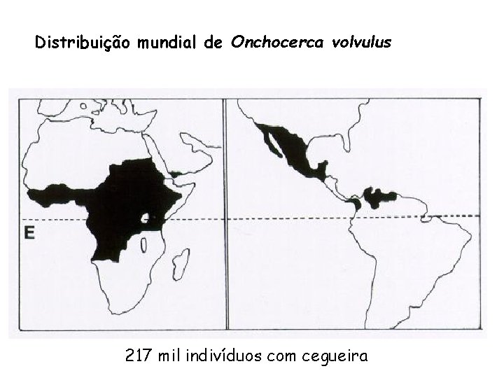 Distribuição mundial de Onchocerca volvulus 217 mil indivíduos com cegueira 