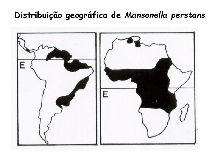 Distribuição geográfica de Mansonella perstans 