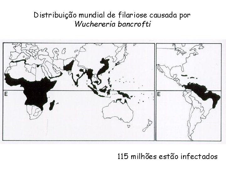 Distribuição mundial de filariose causada por Wuchereria bancrofti 115 milhões estão infectados 