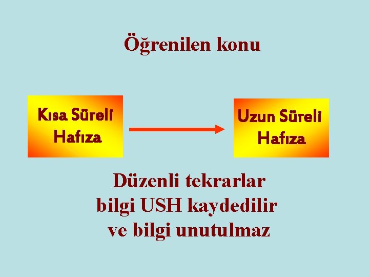 Öğrenilen konu Kısa Süreli Hafıza Uzun Süreli Hafıza Düzenli tekrarlar bilgi USH kaydedilir ve